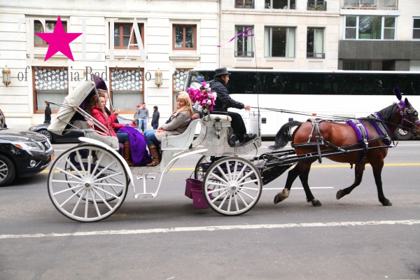 Центральный парк осенью, Манхэттен, Нью-Йорк, США